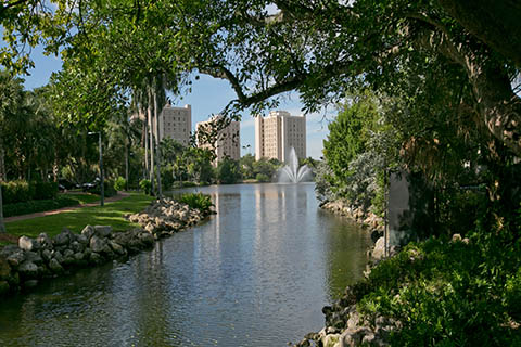 A view of the student dormitories and some landscaping at the University of Miami Coral Gables campus.