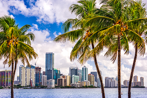 A stock photo of the downtown Miami skyline.