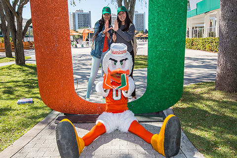 The University of Miami mascot, Sebastian the Ibis.