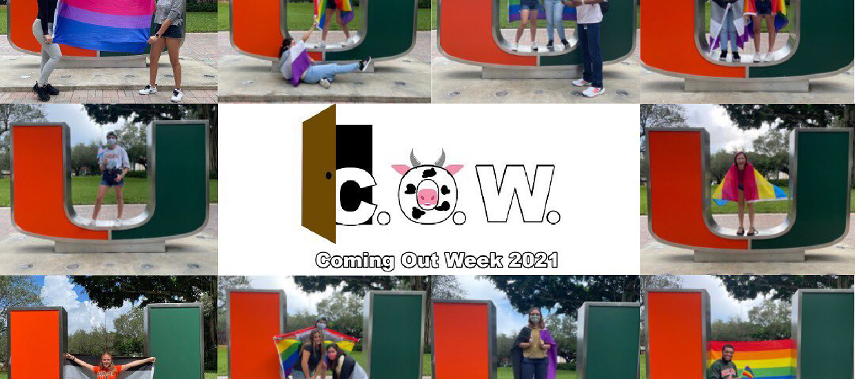 A collage of students holding up a variety of flags in front of the U sign - from bisexual to trans to the rainbow flag. 